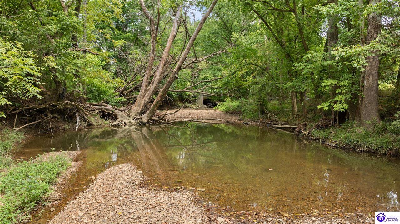 5 Merrimac Road Bradfordsville, KY 40009 #1