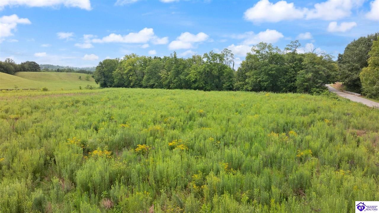 5 Merrimac Road Bradfordsville, KY 40009 #2