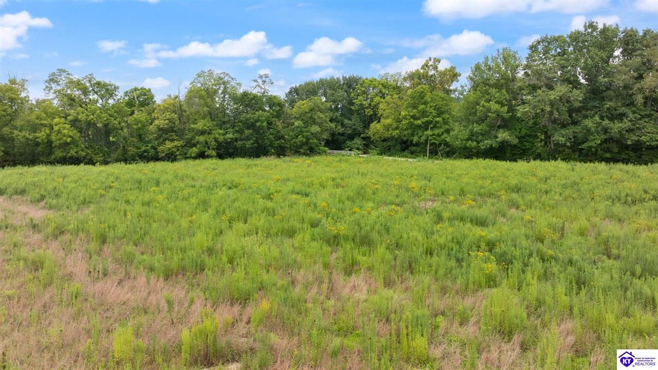 5 Merrimac Road Bradfordsville, KY 40009 #3