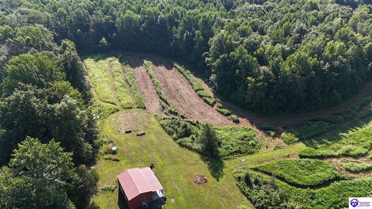 76 AC Iron Mountain Road Center, KY 42214 #1