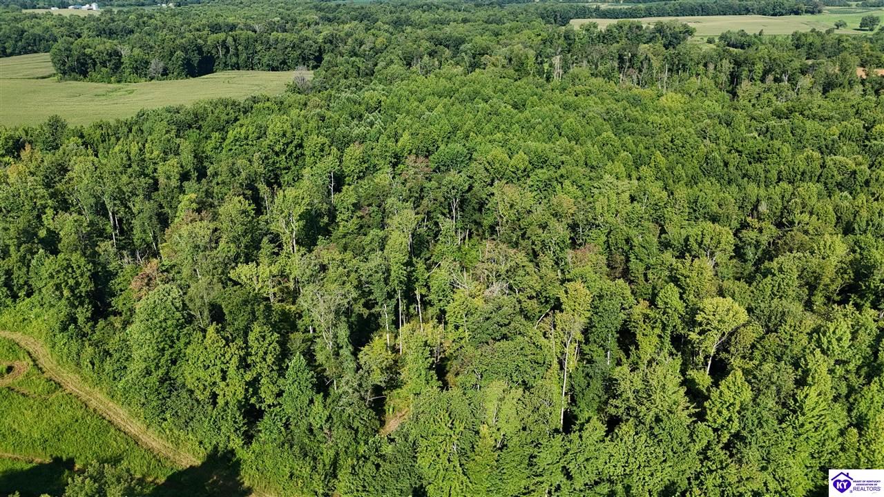 76 AC Iron Mountain Road Center, KY 42214 #4