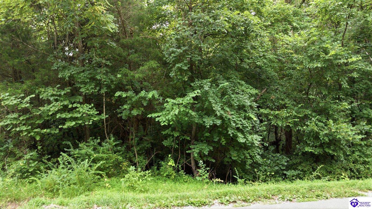 2540 Jim Clark RdNew Haven,&nbsp;KY&nbsp;40051