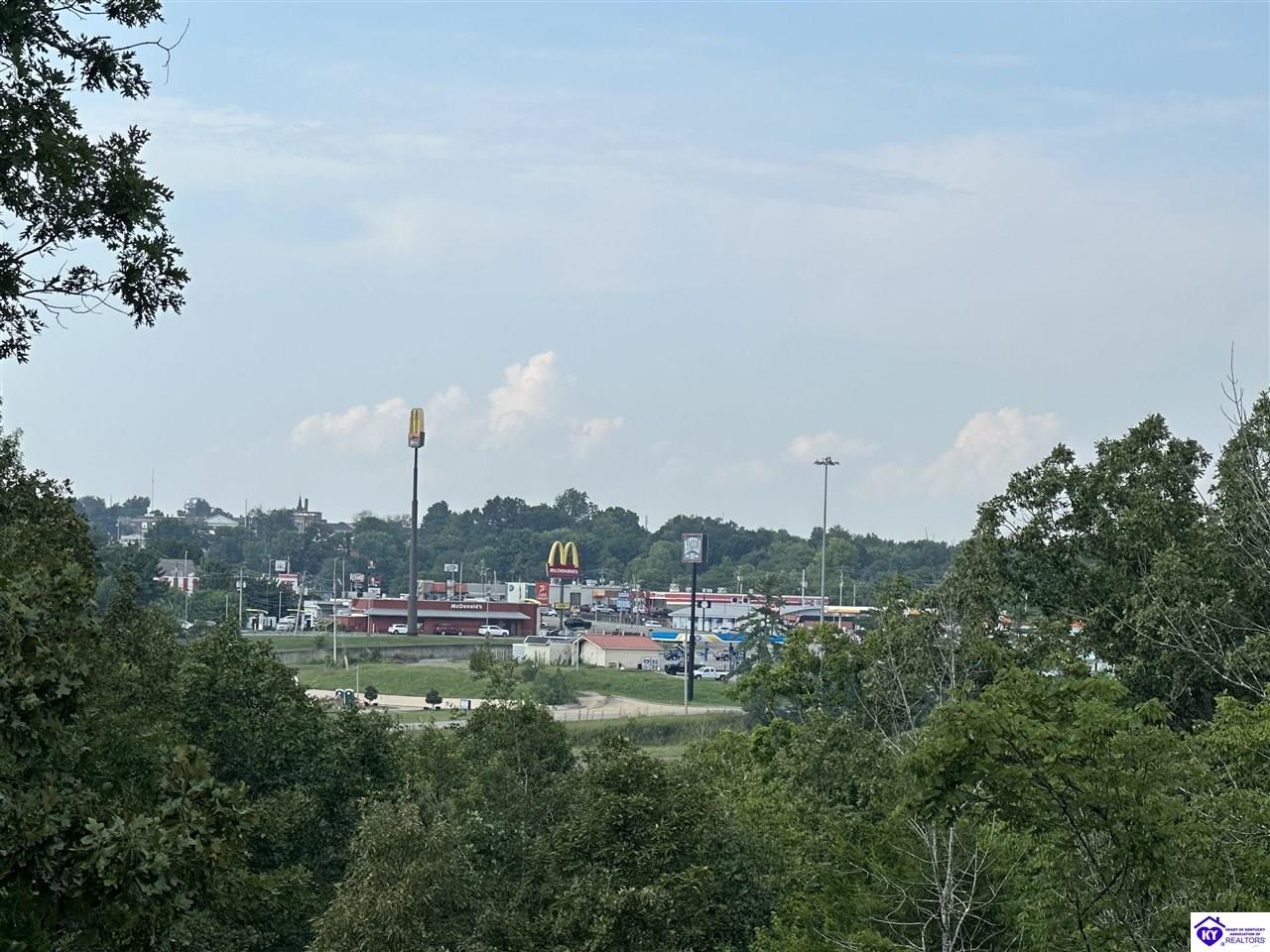 0 Victory Heights Drive Leitchfield, KY 42754 #1