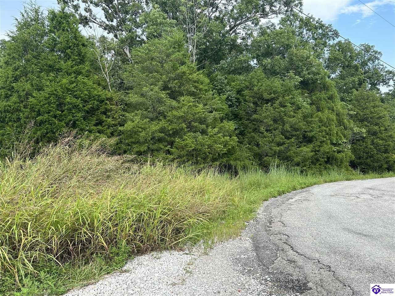0 Victory Heights Drive Leitchfield, KY 42754 #2