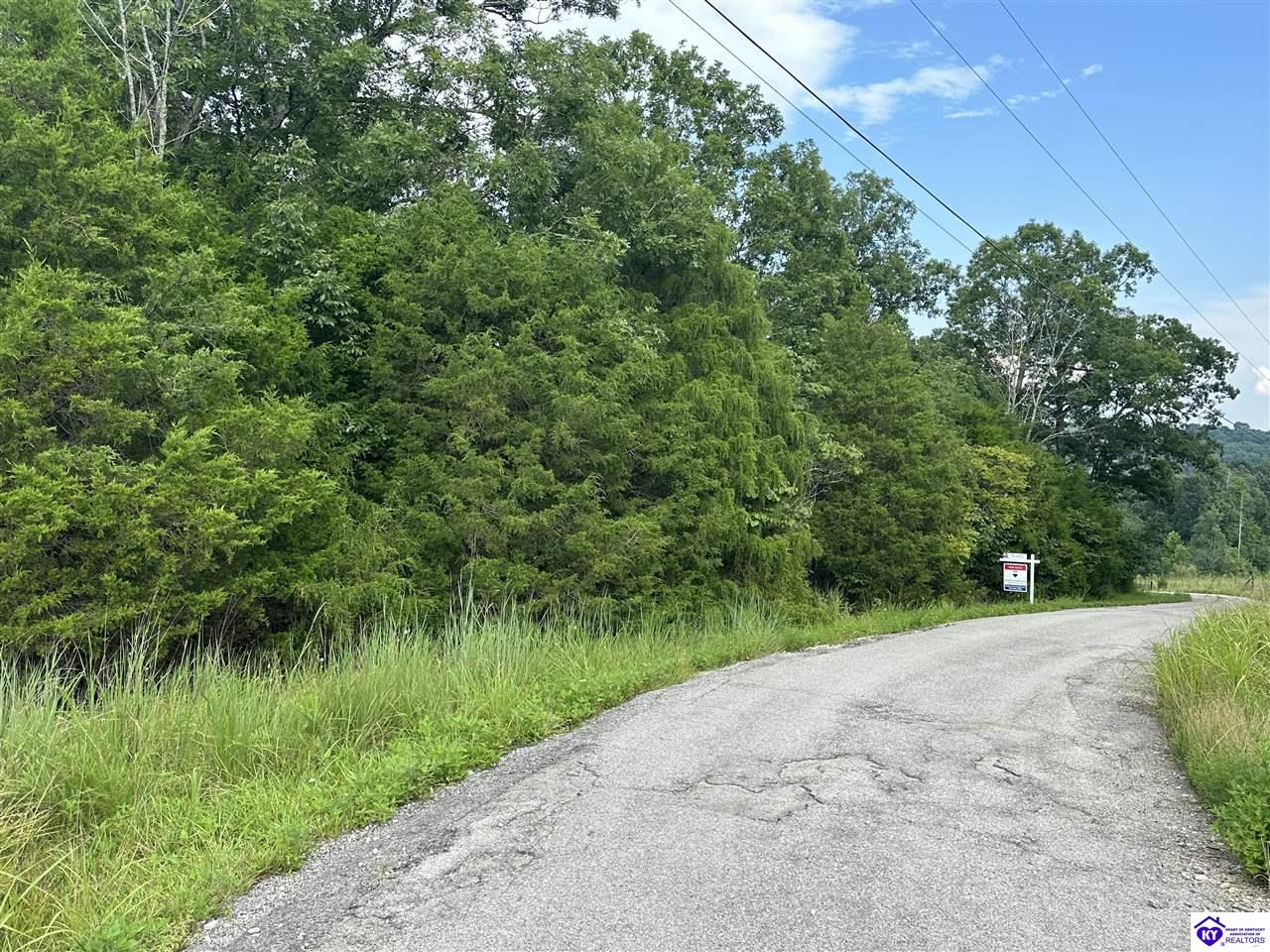 0 Victory Heights Drive Leitchfield, KY 42754 #3