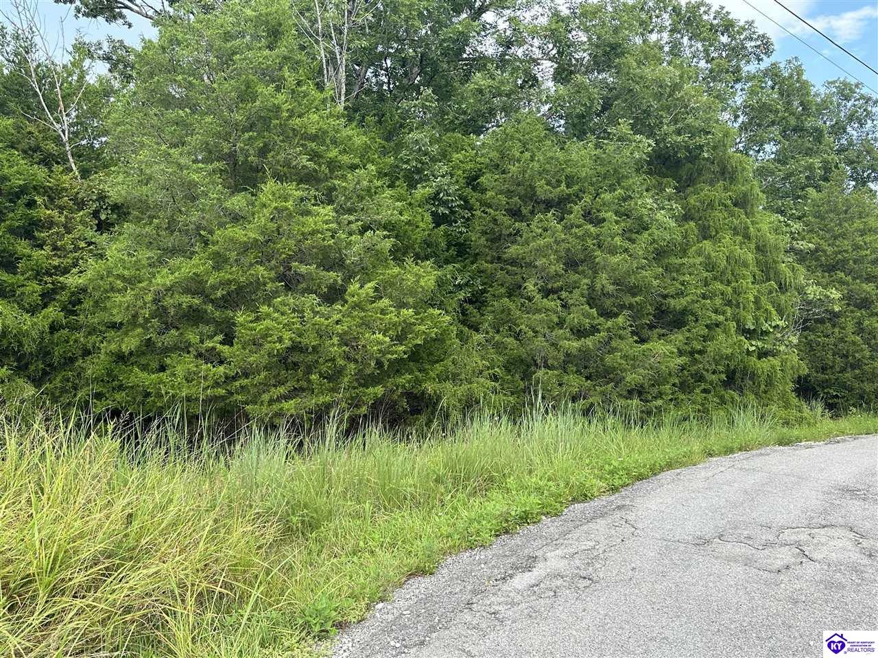 0 Victory Heights Drive Leitchfield, KY 42754 #4