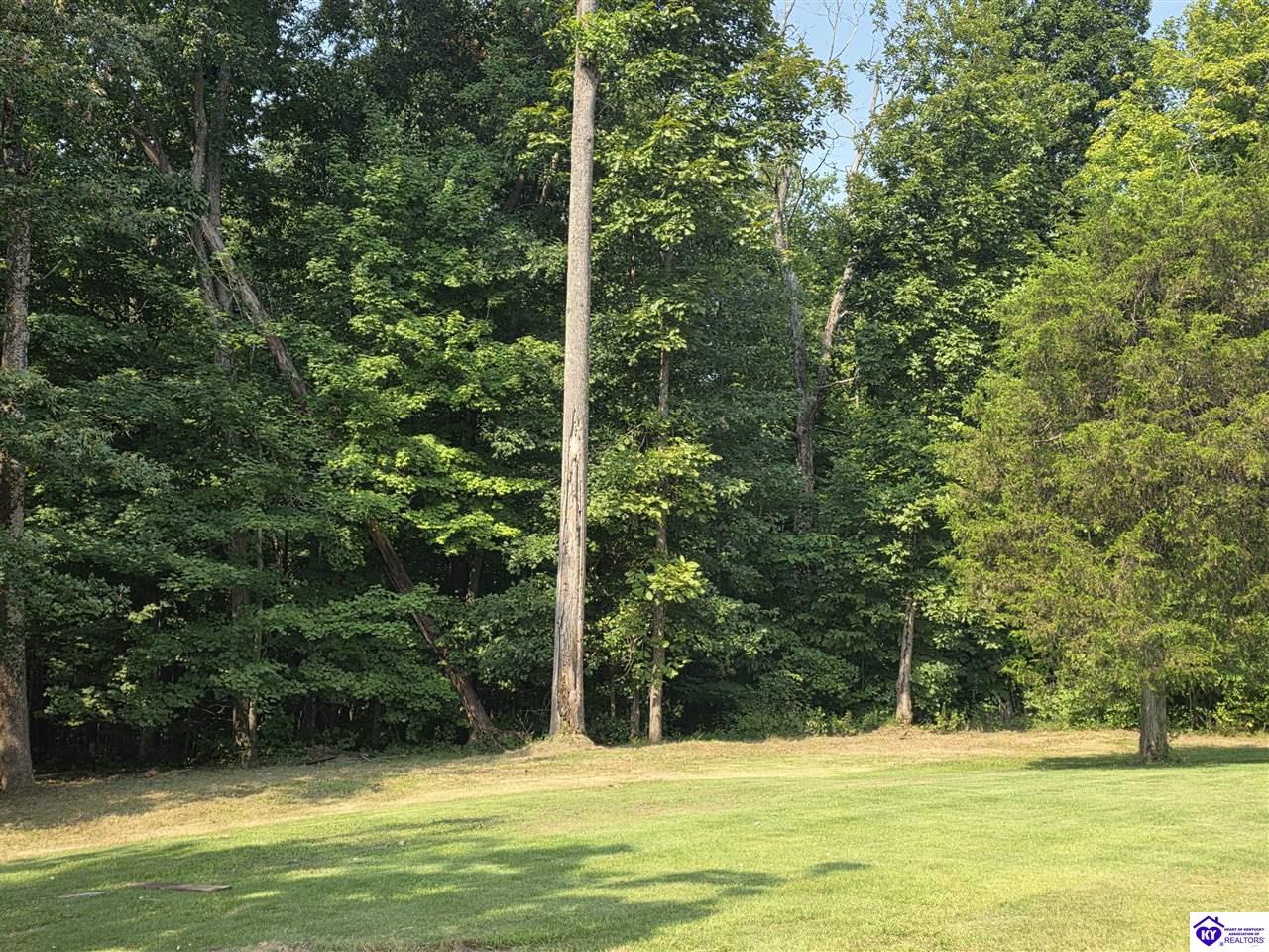 173 Cochise Court Rineyville, KY 40162 #4