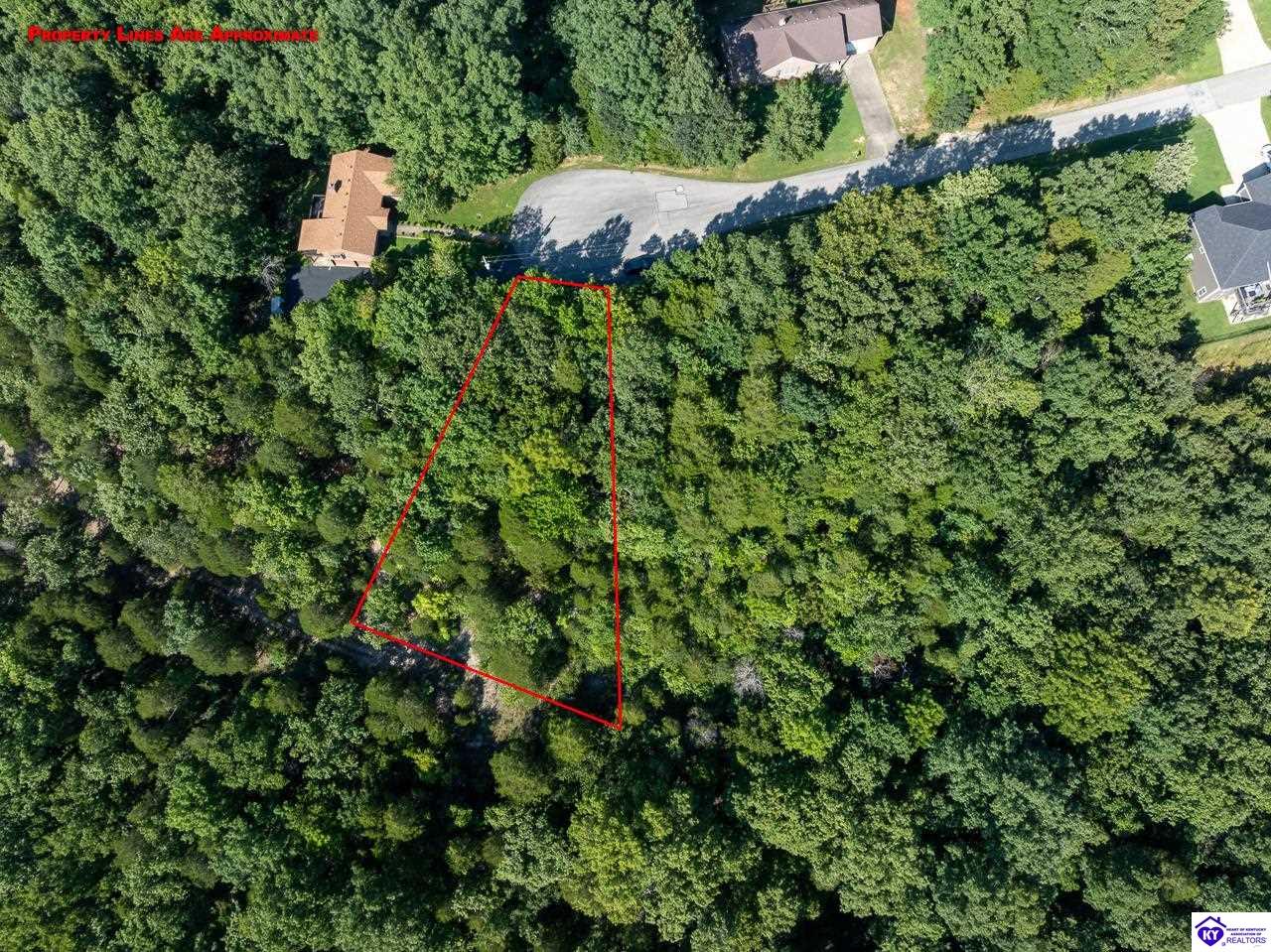 Lot 301 Woodview Drive Brandenburg, KY 40108 #2