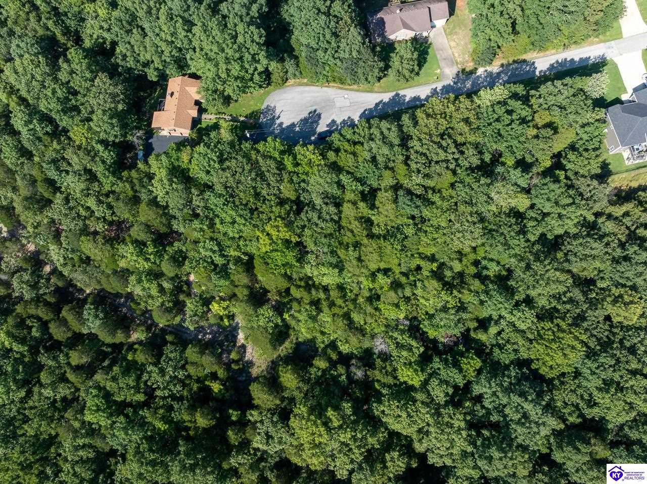 Lot 301 Woodview Drive Brandenburg, KY 40108 #3