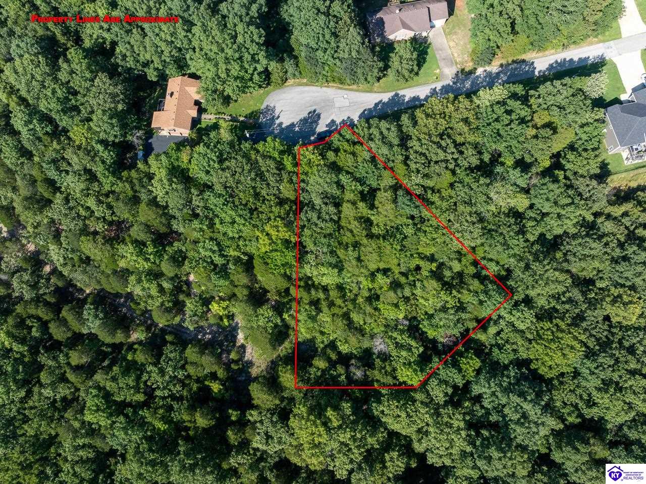 Lots 299 & 300 Woodview Drive Brandenburg, KY 40108 #2