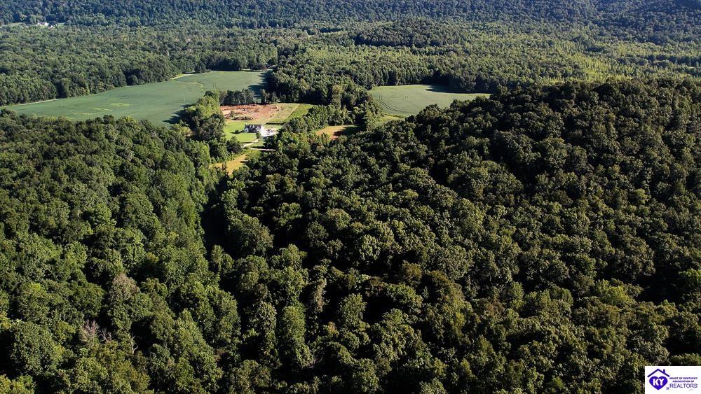 LOT 4 Perkins Lane Howardstown, KY 40051 #1