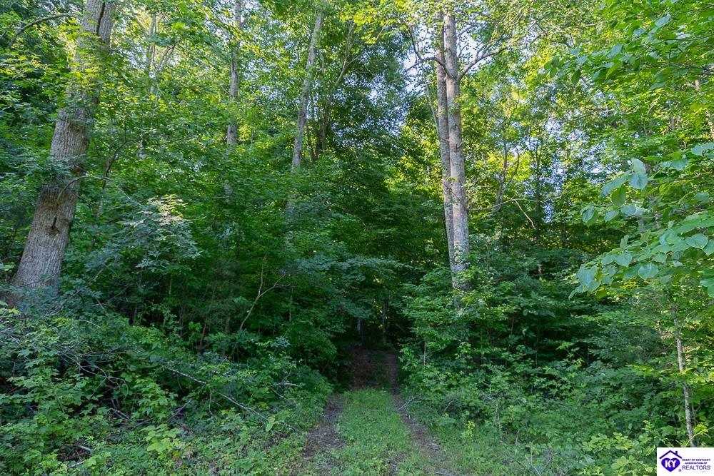 LOT 4 Perkins Lane Howardstown, KY 40051 #2