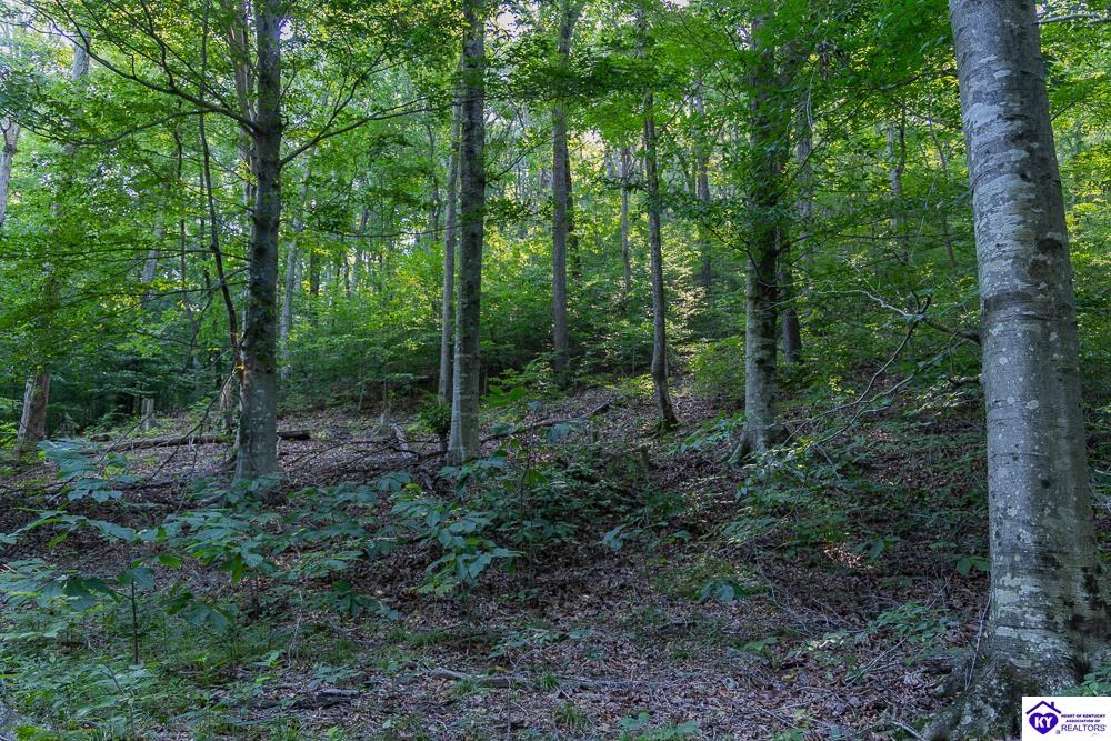 LOT 4 Perkins Lane Howardstown, KY 40051 #3