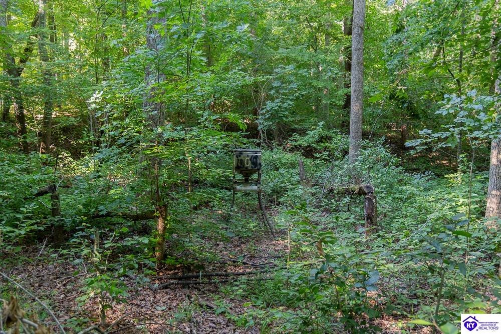 LOT 4 Perkins Lane Howardstown, KY 40051 #4