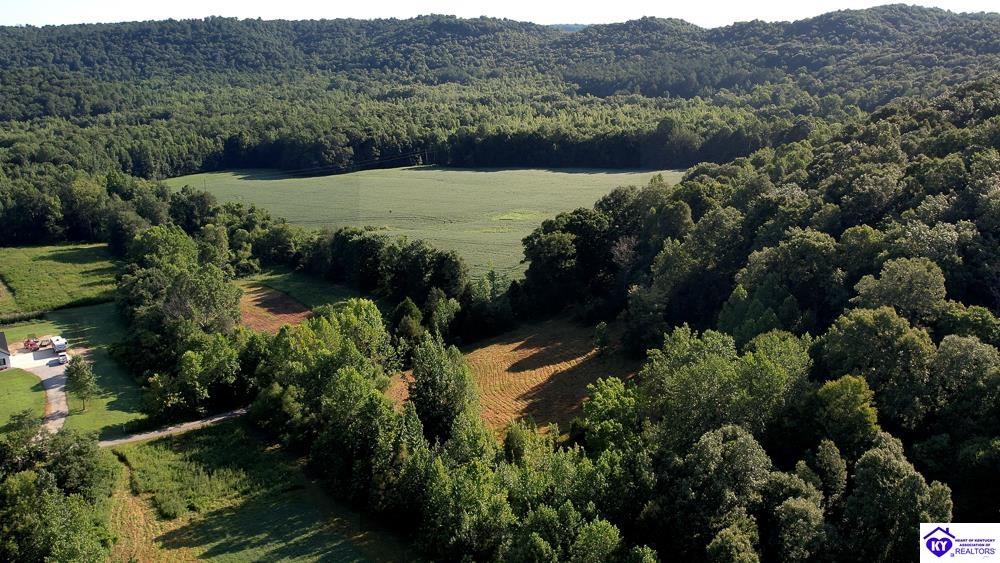 Lot 3 Perkins Lane Howardstown, KY 40051 #1