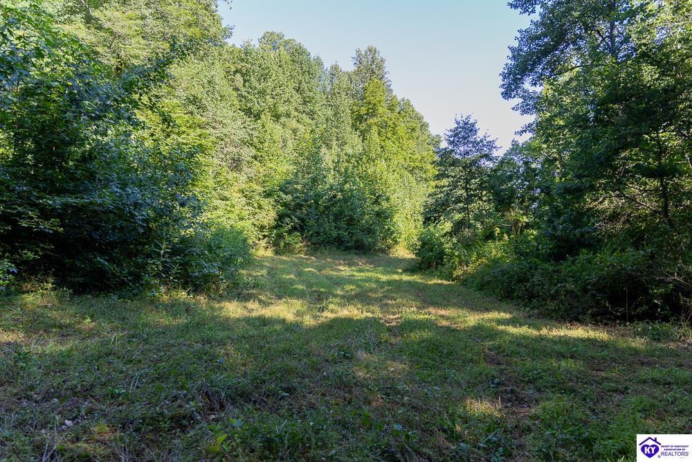 Lot 3 Perkins Lane Howardstown, KY 40051 #2