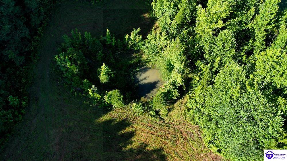 Lot 3 Perkins Lane Howardstown, KY 40051 #4