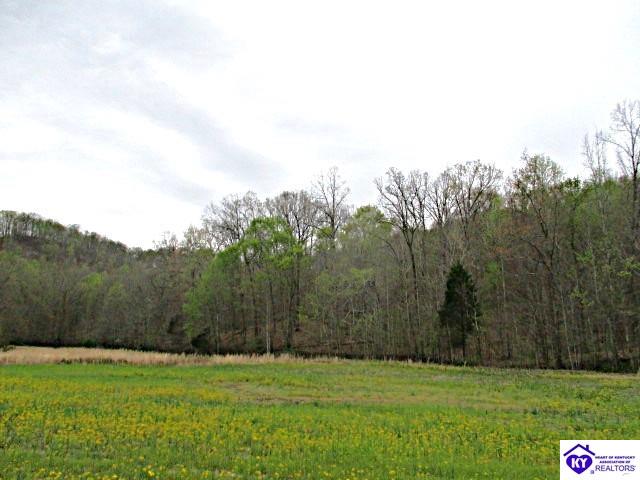 Lot 38 Sulphur Lick RoadNew Hope,&nbsp;KY&nbsp;40052