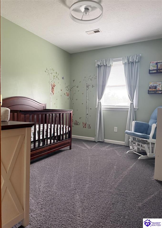 609 Stanford Drive Elizabethtown, KY 42701 #3