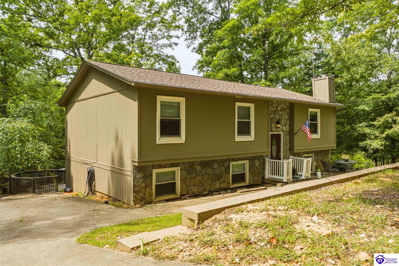 957 Wildflower Ridge Road Brandenburg, KY 40108 #1