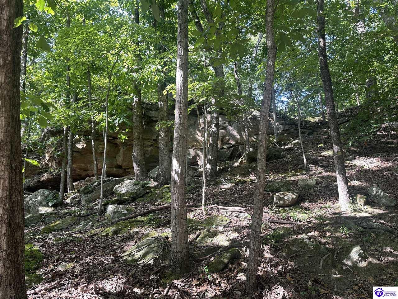 25210 SW Sonora Hardin Springs RoadBig Clifty,&nbsp;KY&nbsp;42712