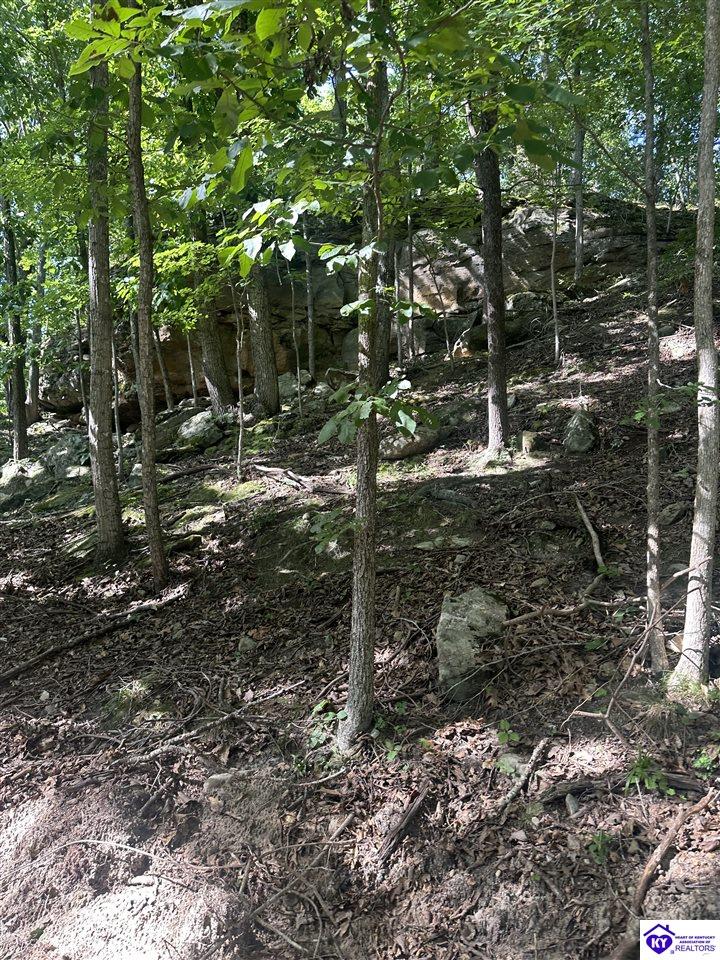 25210 SW Sonora Hardin Springs Road Big Clifty, KY 42712 #1