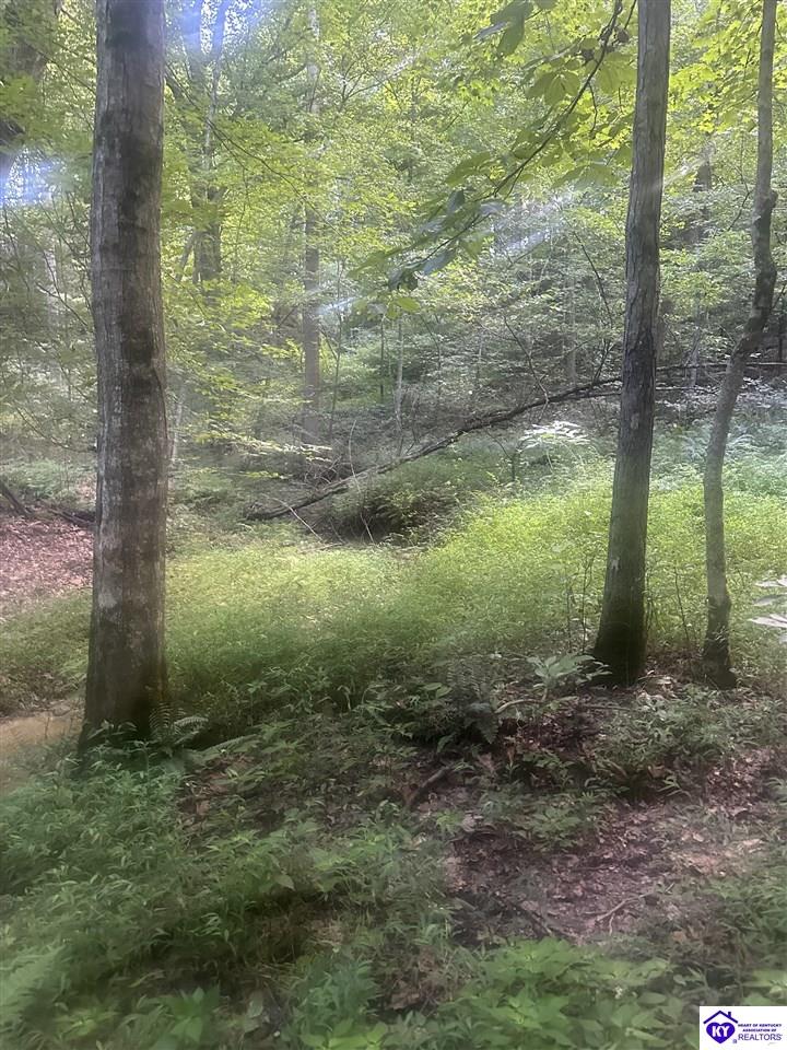 25210 SW Sonora Hardin Springs Road Big Clifty, KY 42712 #2