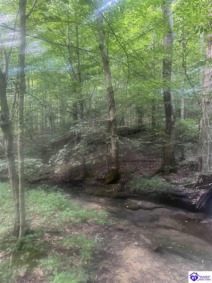 25210 SW Sonora Hardin Springs Road Big Clifty, KY 42712 #3
