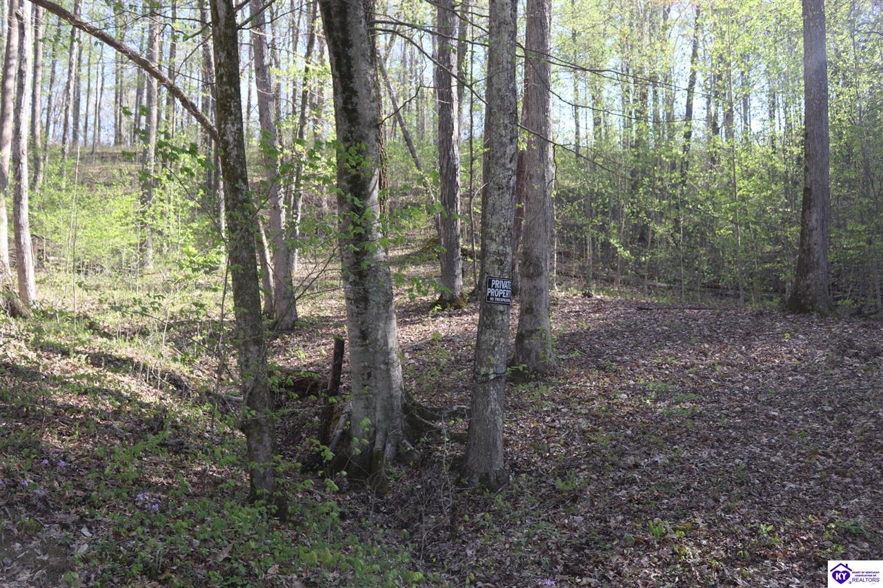 3 Oakmont Bay DriveBee Spring,&nbsp;KY&nbsp;42207