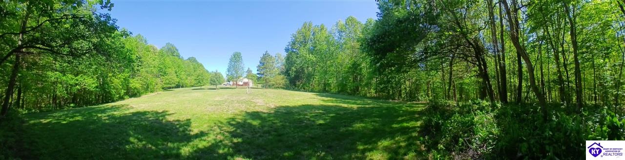 7985 Knifley Road Columbia, KY 42728 #3