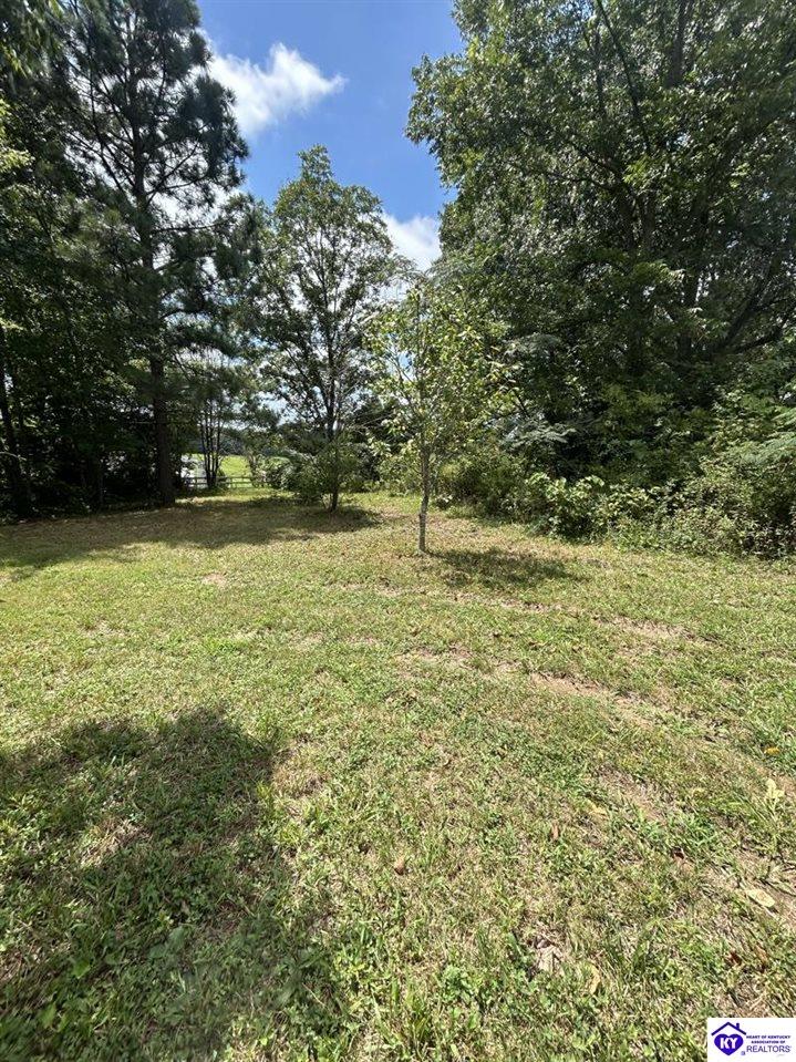 684 Wonderland Cavern Road Cecilia, KY 42724 #2