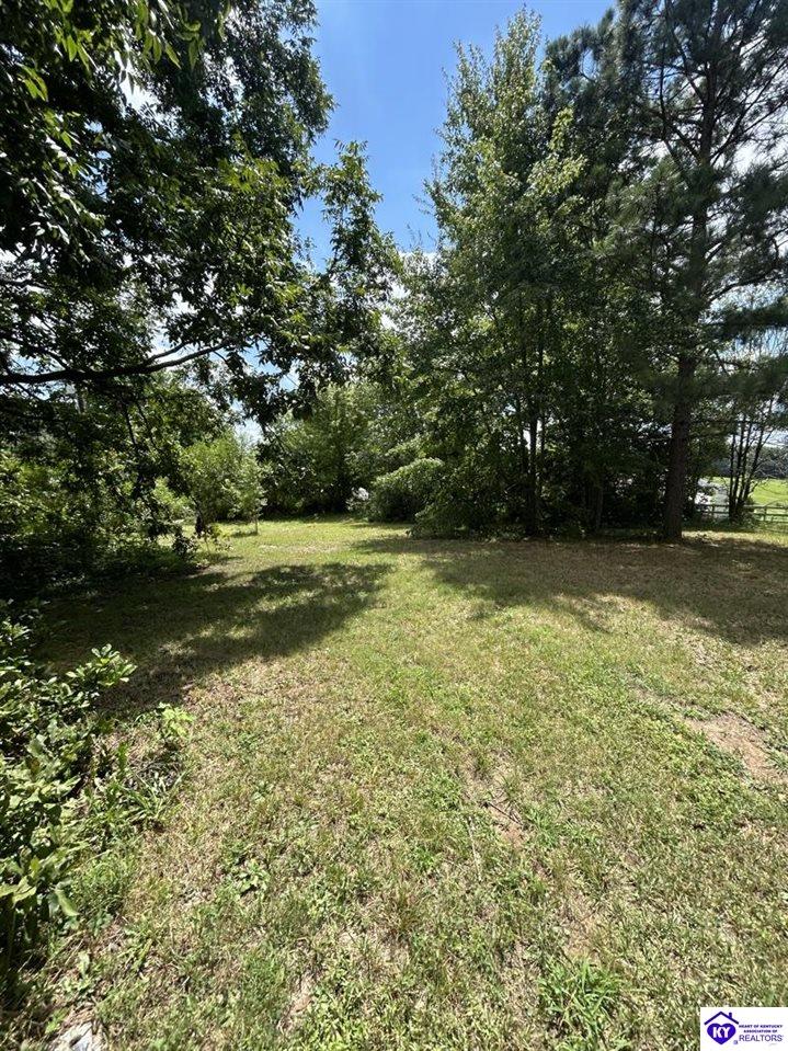 684 Wonderland Cavern Road Cecilia, KY 42724 #4
