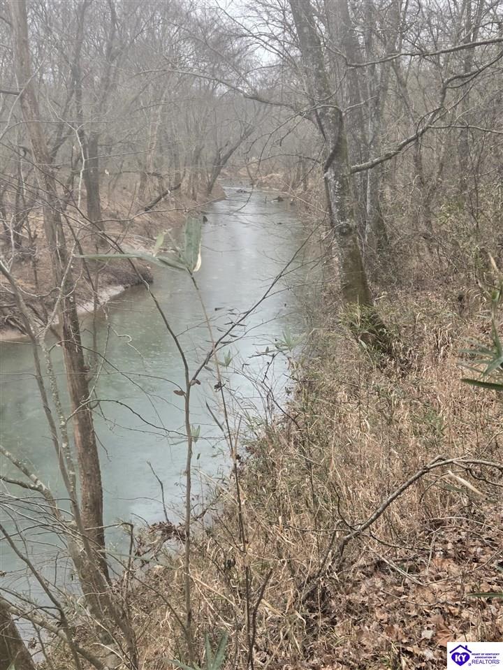 Tract 5 Wand Cemetery Road Bowling Green, KY 42101 #3