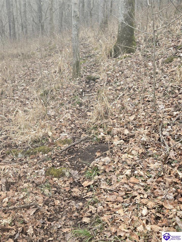 Tract 5 Wand Cemetery Road Bowling Green, KY 42101 #4