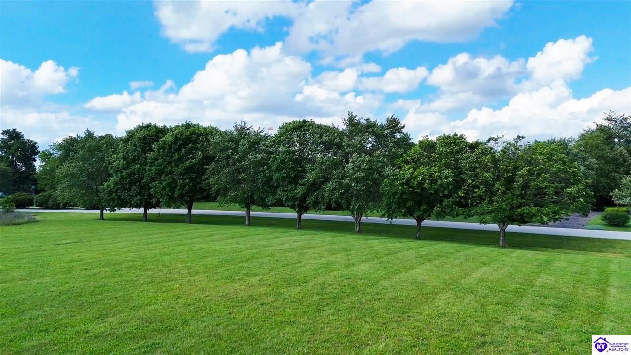 710 Hackberry Road Cecilia, KY 42724 #3