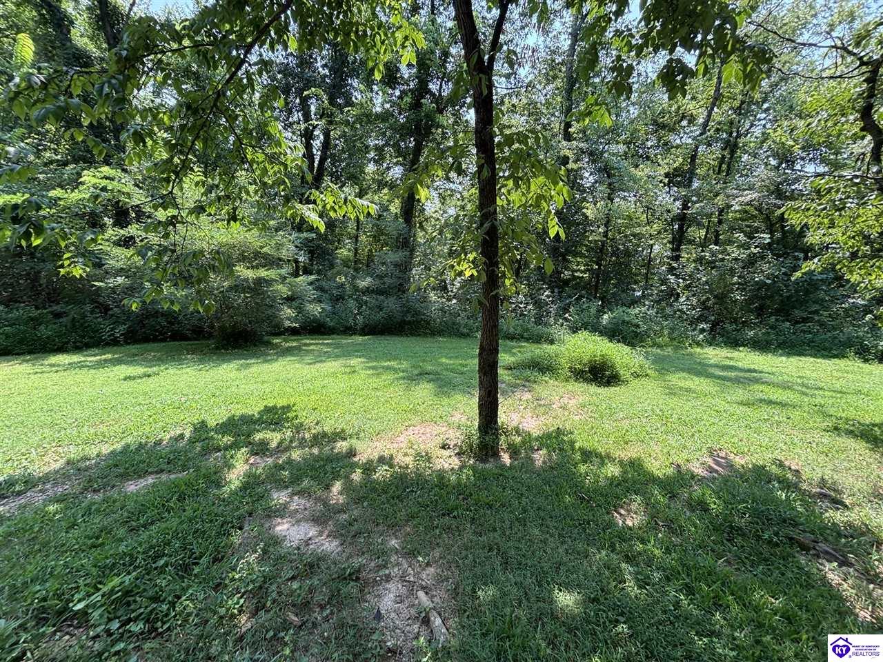 91 Barwater Road Brandenburg, KY 40108 #2