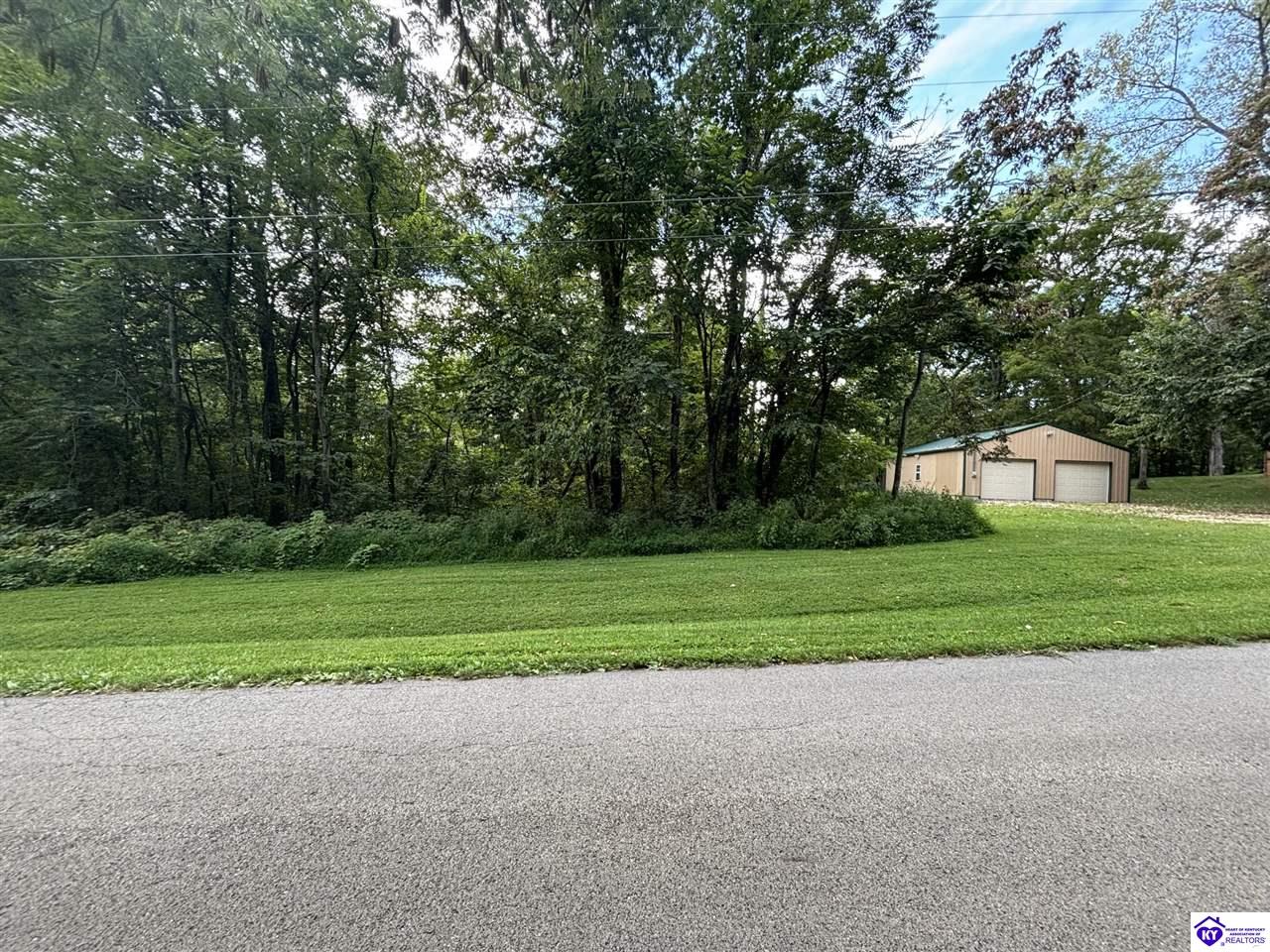 91 Barwater Road Brandenburg, KY 40108 #4