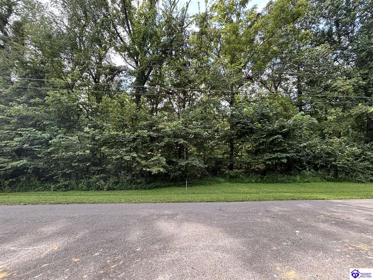133 Barwater RoadBrandenburg,&nbsp;KY&nbsp;40108