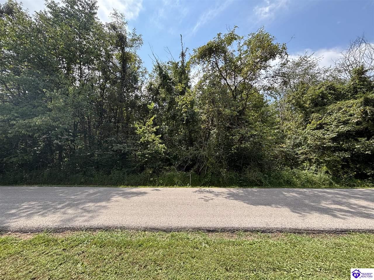 185 Barwater RoadBrandenburg,&nbsp;KY&nbsp;40108