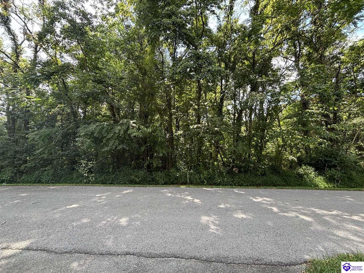 225 Barwater RoadBrandenburg,&nbsp;KY&nbsp;40108