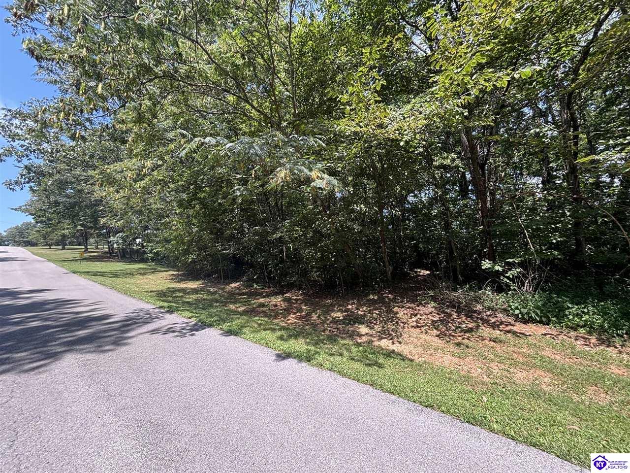 100 Barwater Road Brandenburg, KY 40108 #1