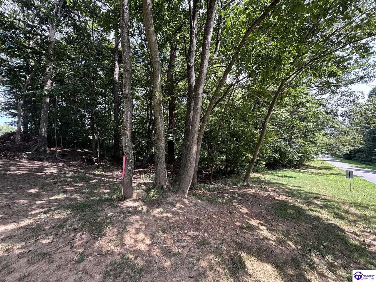 100 Barwater Road Brandenburg, KY 40108 #3