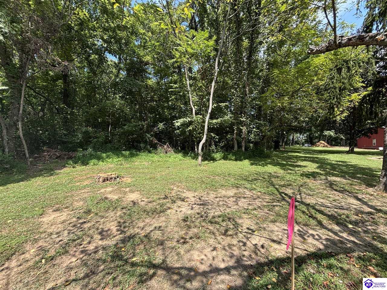 100 Barwater Road Brandenburg, KY 40108 #4