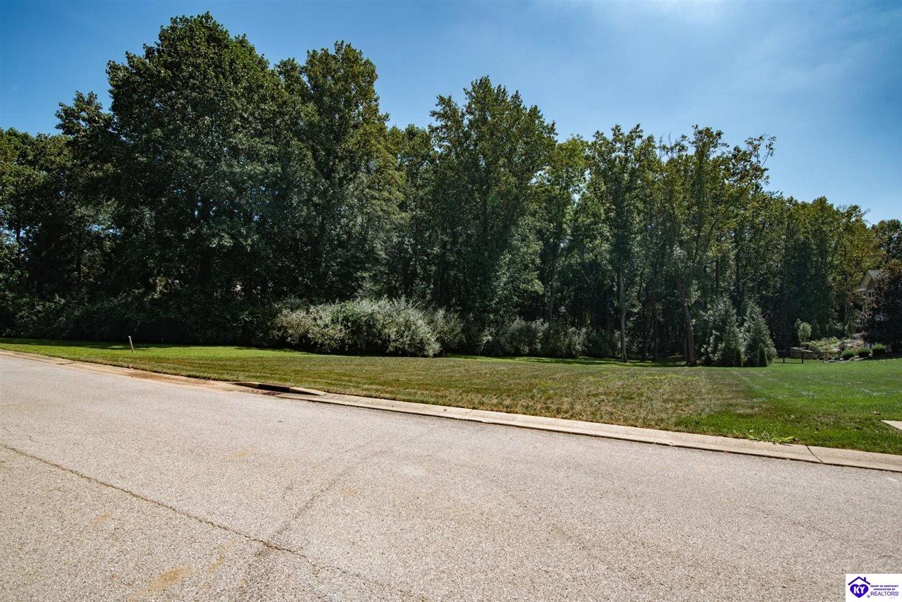 1001 Driftwood Lane Elizabethtown, KY 42701 #2