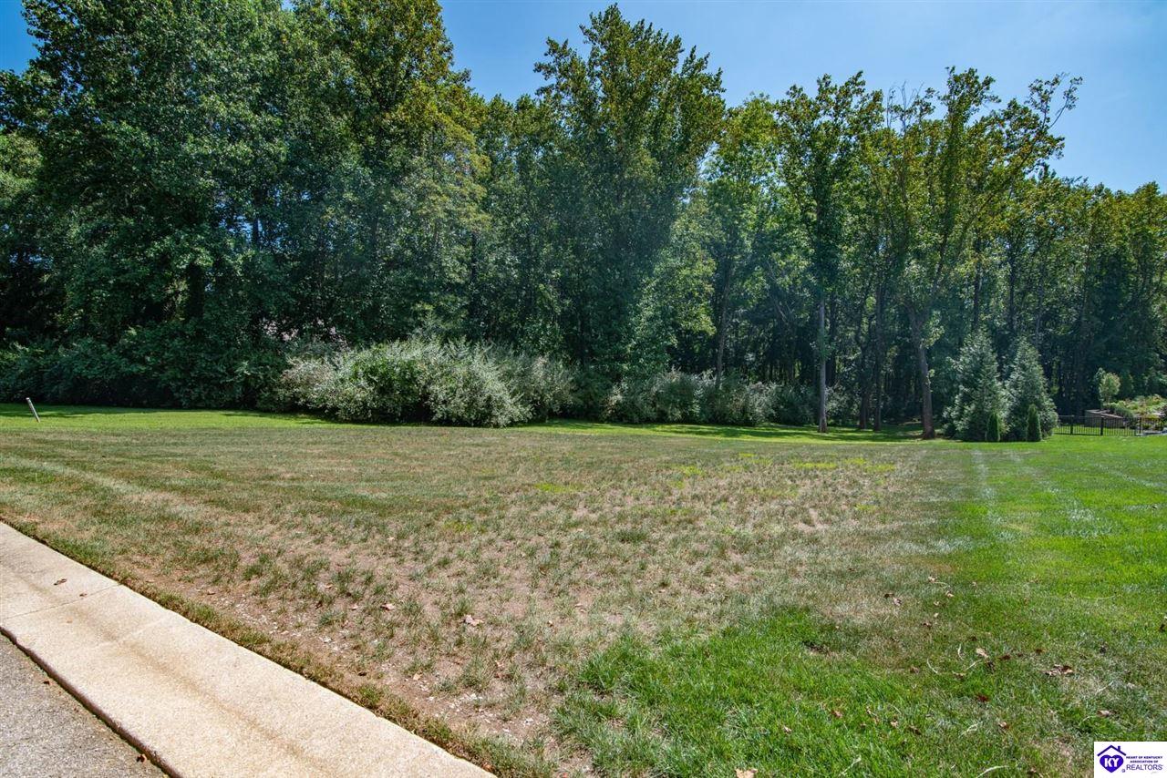 1001 Driftwood Lane Elizabethtown, KY 42701 #3