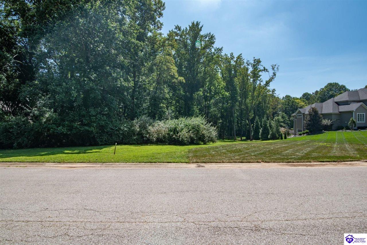1001 Driftwood Lane Elizabethtown, KY 42701 #4