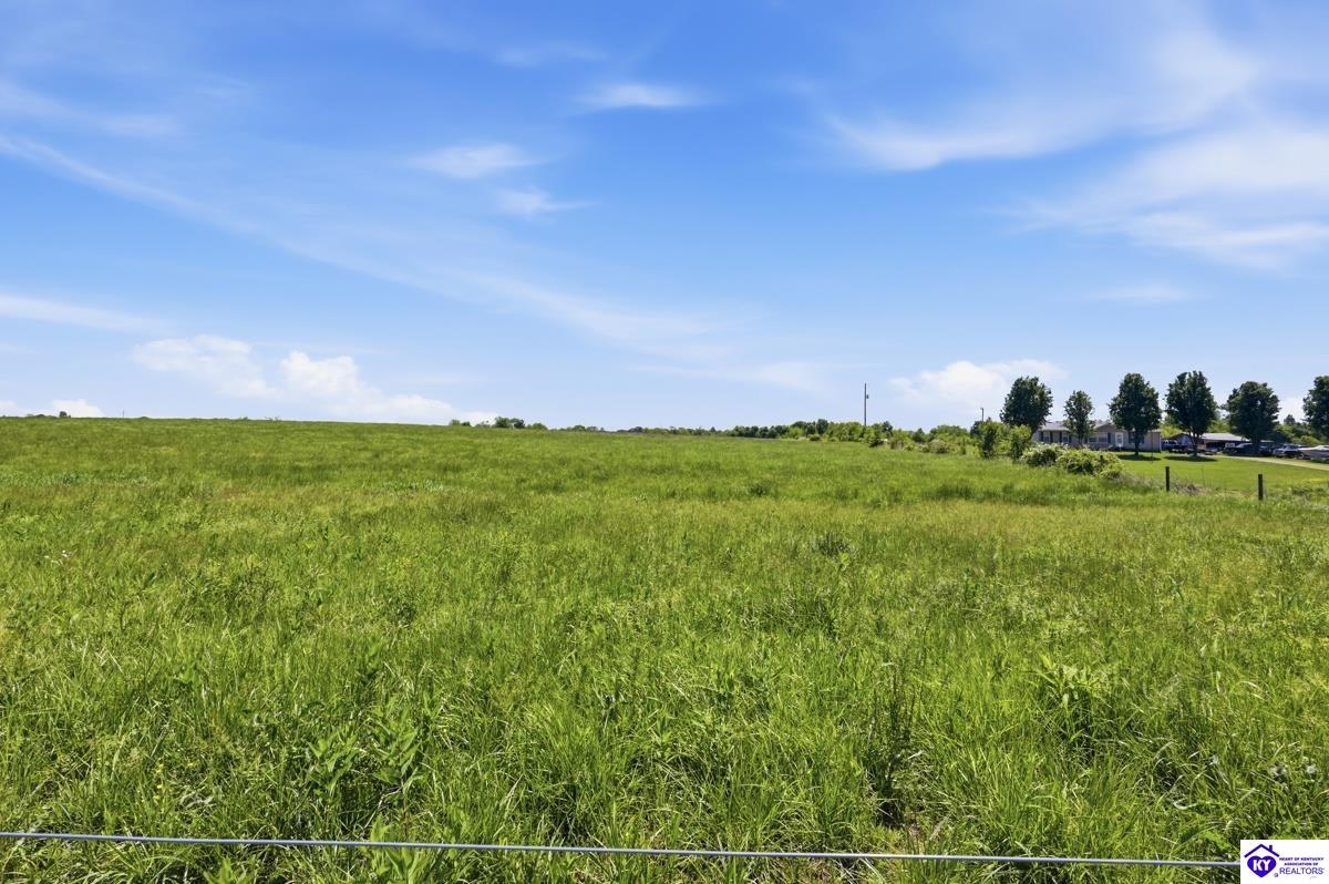 1197 Parker Grove Road Hodgenville, KY 42748 #2