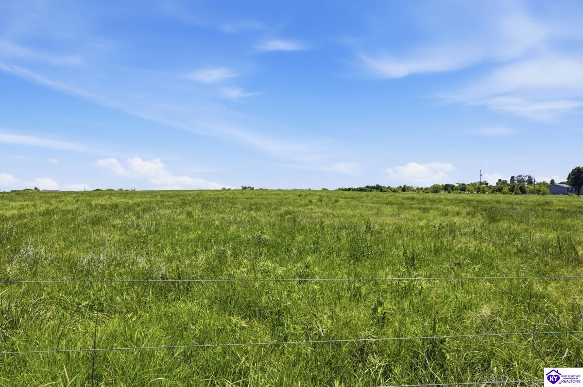 1197 Parker Grove Road Hodgenville, KY 42748 #3