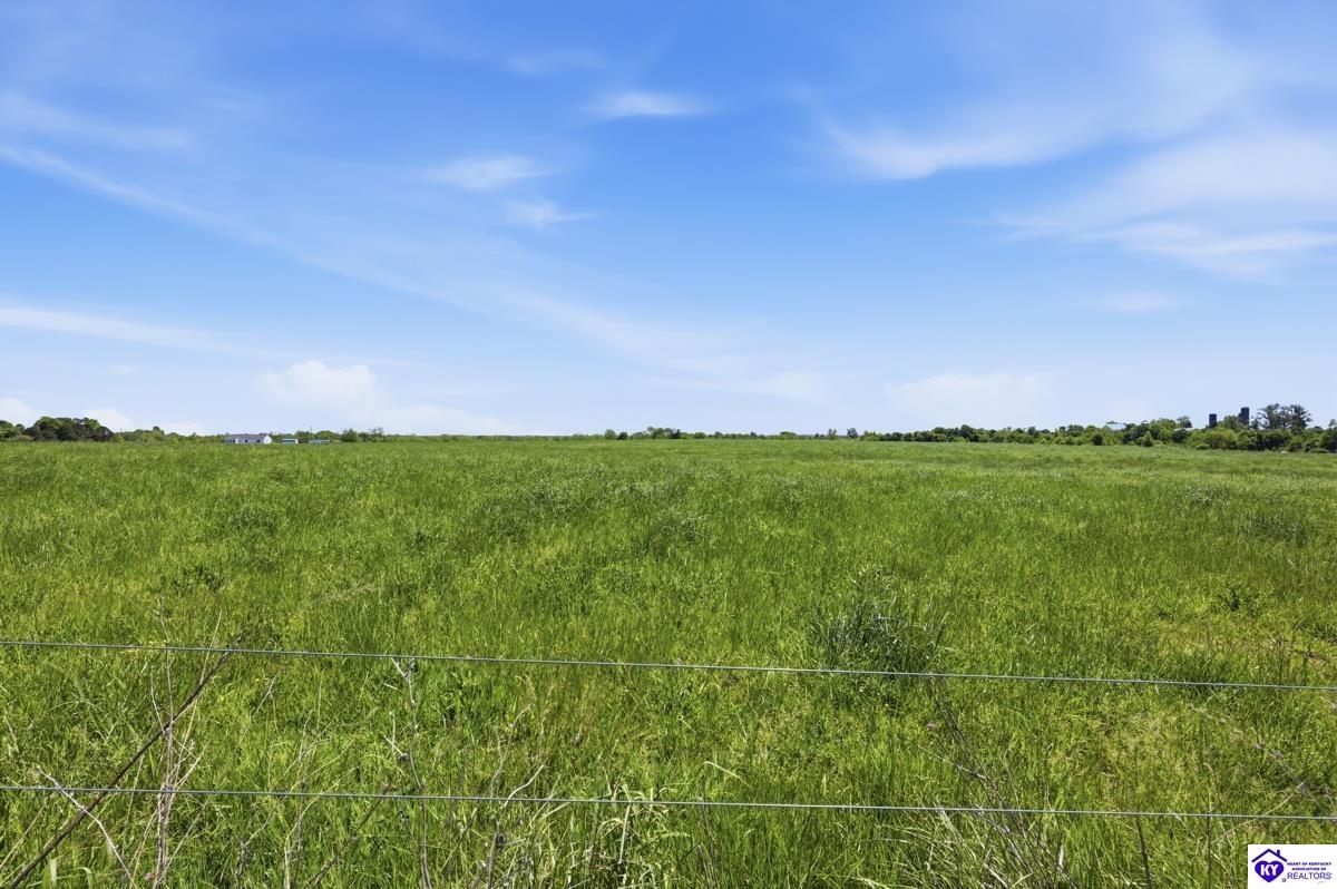 1197 Parker Grove Road Hodgenville, KY 42748 #4