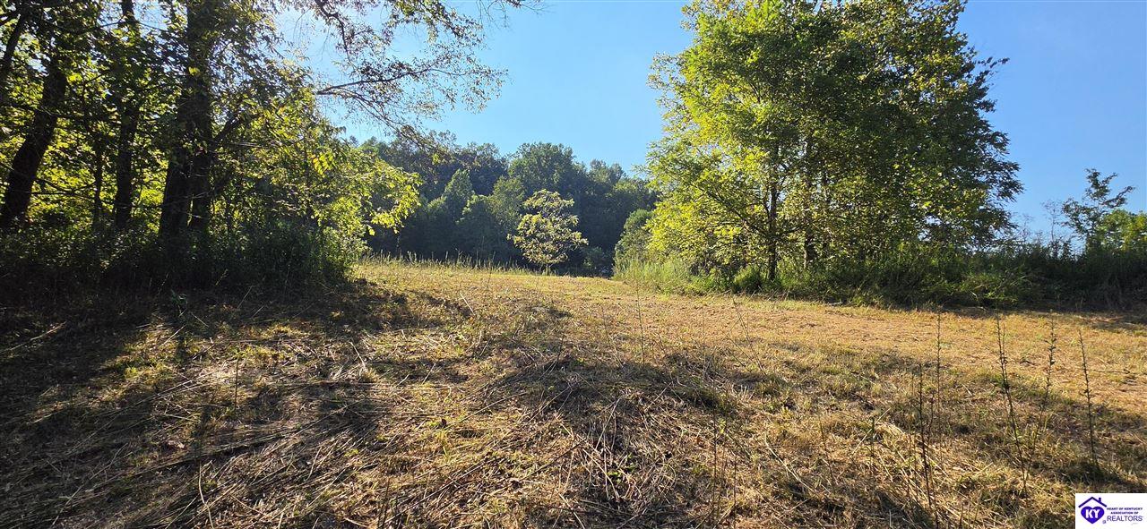 257 New State Road Webster, KY 40176 #1